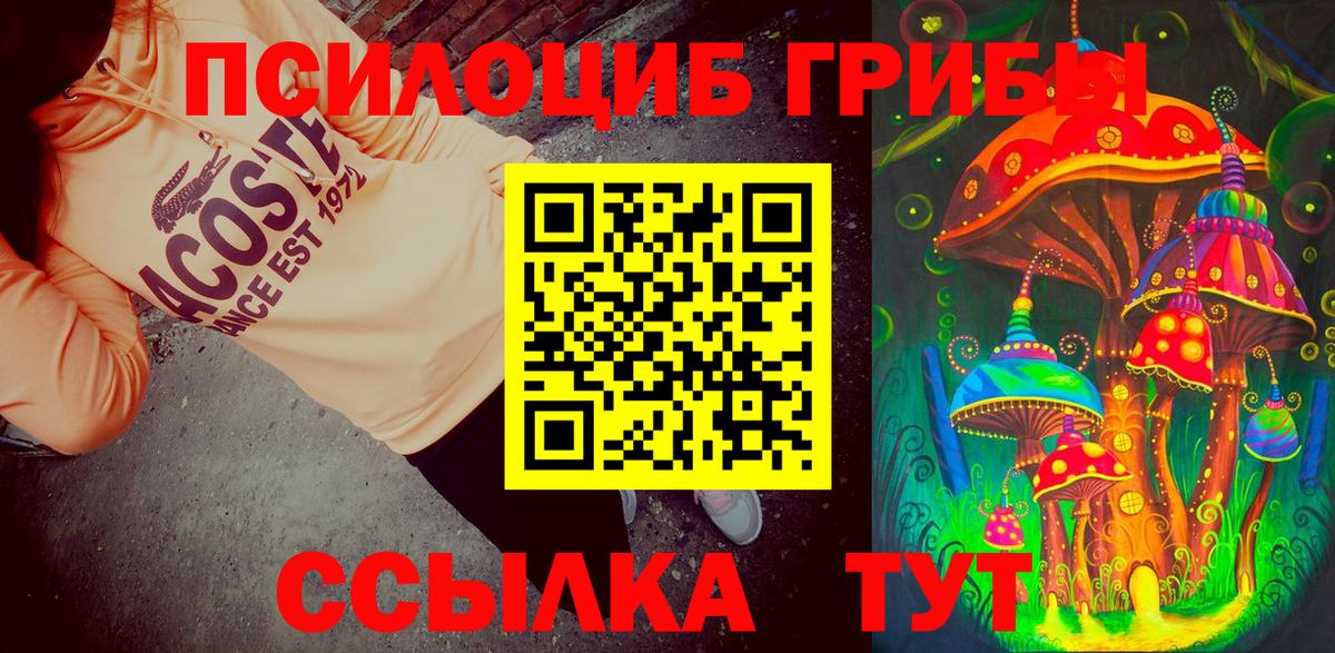 хочу   Галлюциногенные грибы GOLDEN TEACHER  Вход с VPN  Казань 